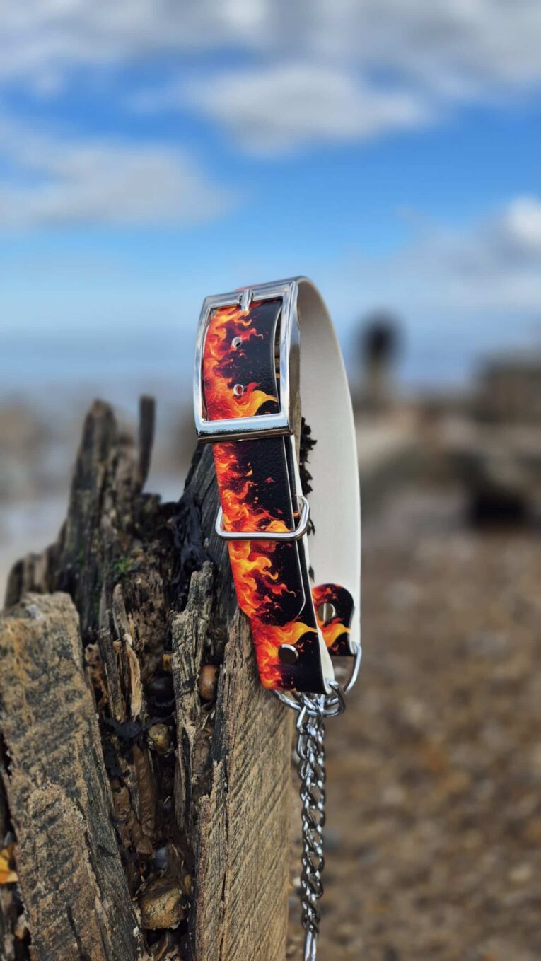 Flames collar with chrome hardware draped over weathered wood, coastal setting with blue sky behind