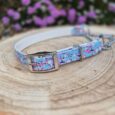 Floral martingale collar in blue with pink flowers and silver hardware, displayed on wooden surface