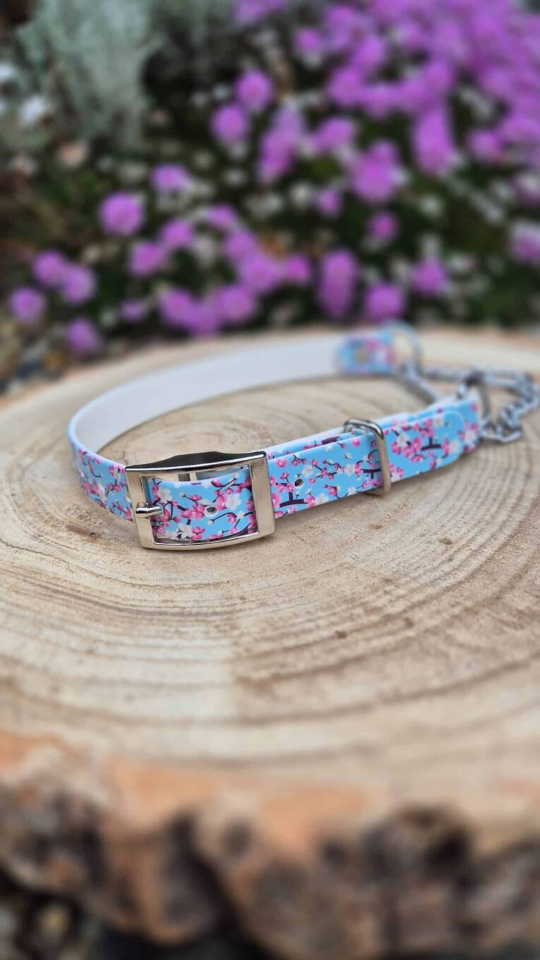 Floral martingale collar in blue with pink flowers and silver hardware, displayed on wooden surface