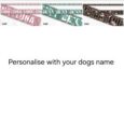 Colourful printed BioThane dog collars in five designs, personalised with dog names