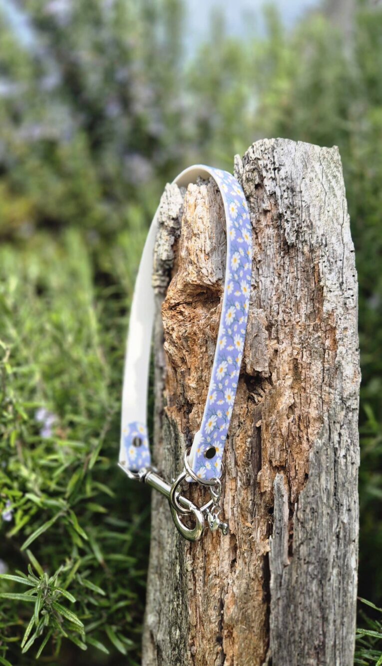 Blue floral slip collar with silver hardware draped over weathered wooden post outdoors.