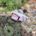 Colourful gingham BioThane dog collar with purple hardware, displayed on succulent plants in a garden setting.