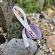 Colourful gingham BioThane dog lead with purple collar and matching harness displayed on garden stones.