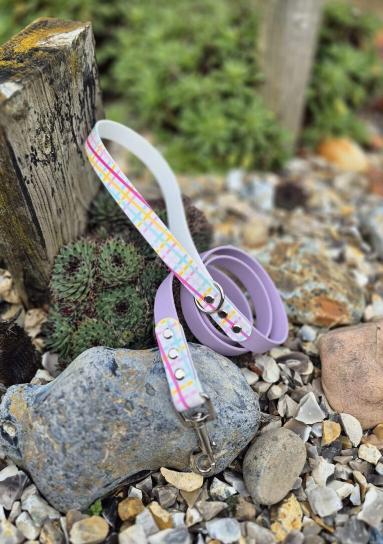 Colourful gingham BioThane dog lead with purple collar and matching harness displayed on garden stones.