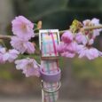 Pink gingham handmade BioThane dog collar with ring and tag displayed among delicate cherry blossom flowers.