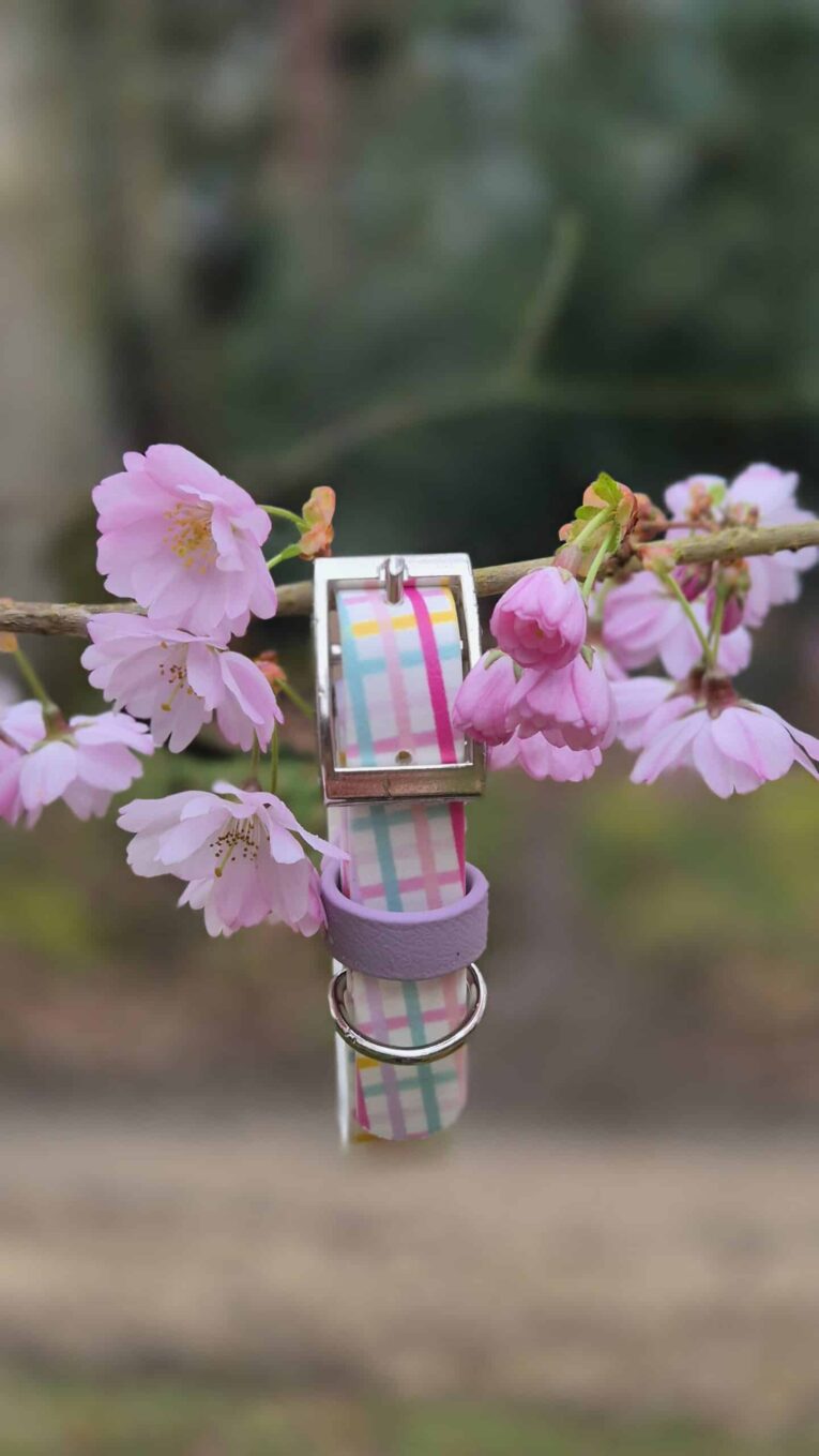 Pink gingham handmade BioThane dog collar with ring and tag displayed among delicate cherry blossom flowers.