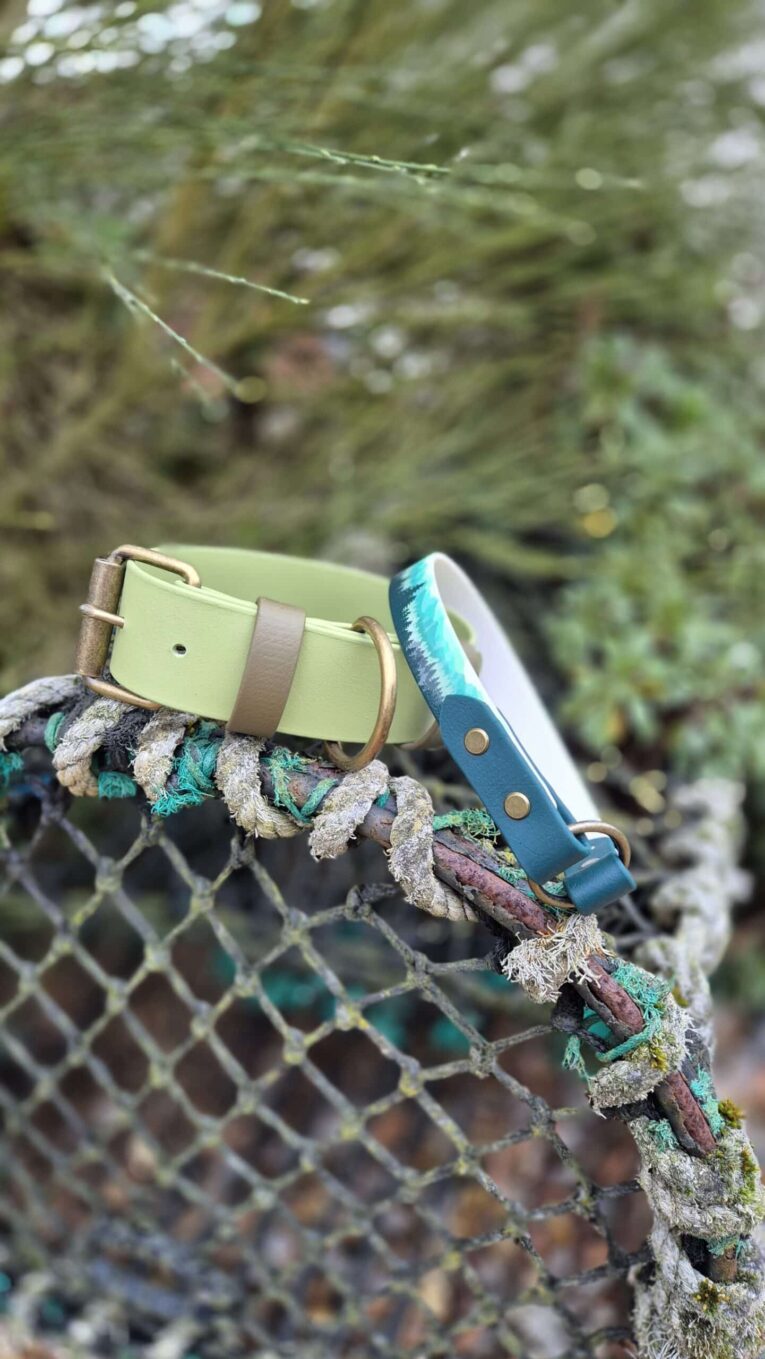 Lime green handmade BioThane dog collar with teal handle, displayed on mossy branch