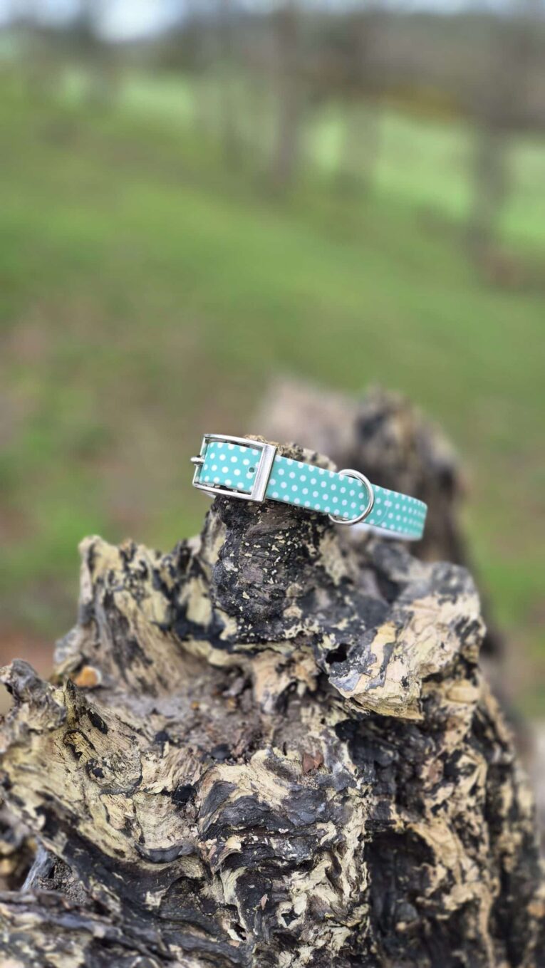 Turquoise polka dot handmade BioThane dog collar with metal hardware displayed on weathered wood outdoors.