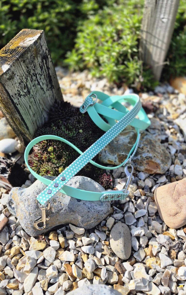 Turquoise polka dot dog lead with metal fittings, draped over weathered wood and stones in a garden setting.