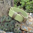 Lime green wide BioThane dog collar with taupe handle, displayed amongst succulents and stone.
