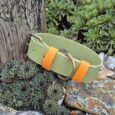 Green and orange handmade BioThane dog collar with rope handle, displayed in a sunny garden setting.