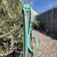 Mint green polka dot dog lead with matching collar and bow, attached to wooden post outdoors.