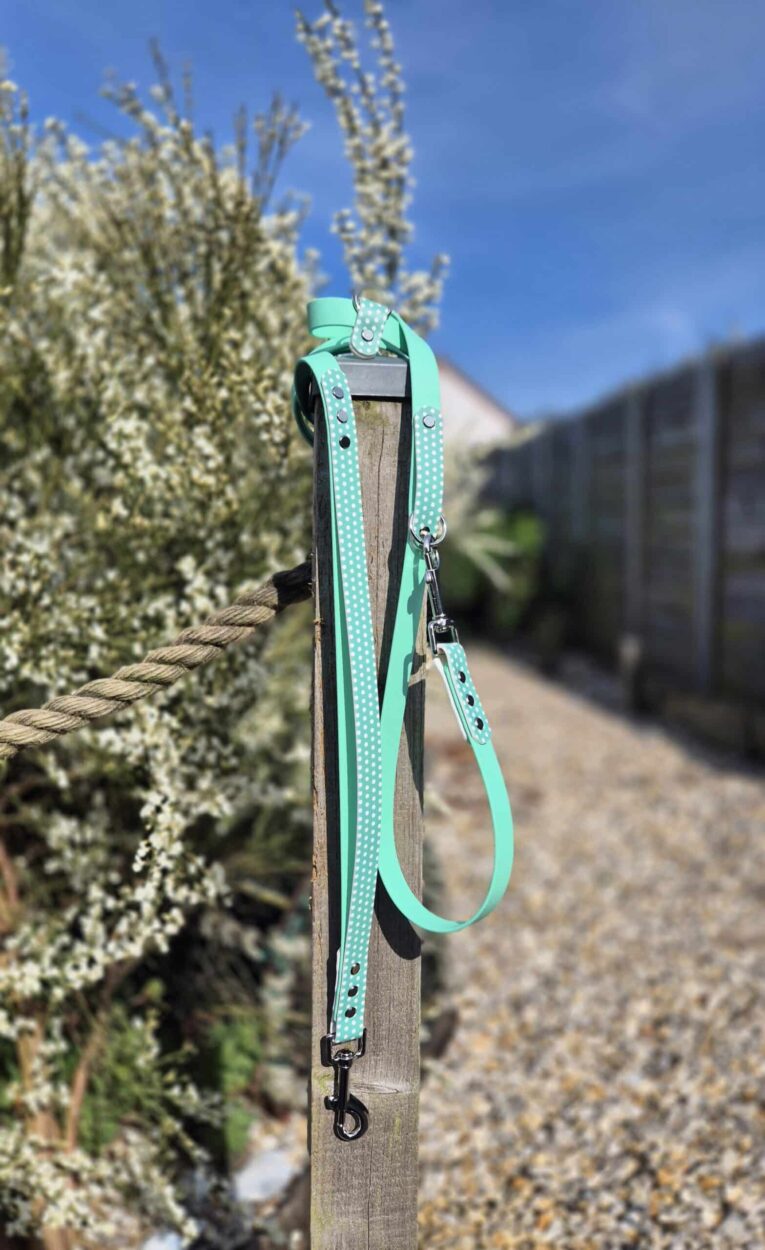 Mint green polka dot dog lead with matching collar and bow, attached to wooden post outdoors.