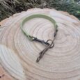 Sage green half slip dog collar with dark BioThane handle on tree stump