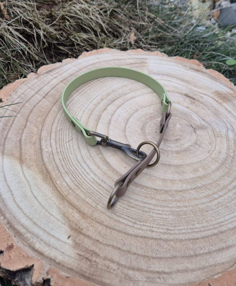 Sage green half slip dog collar with dark BioThane handle on tree stump