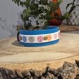 Blue BioThane dog collar with playful conversation heart print and gold hardware, displayed on wooden surface.