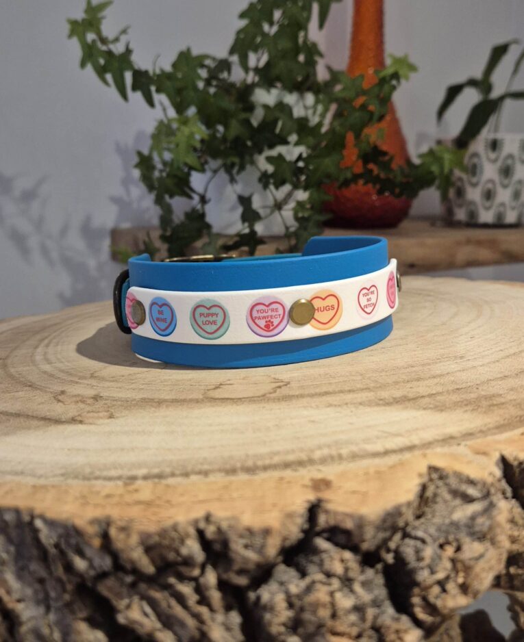 Blue BioThane dog collar with playful conversation heart print and gold hardware, displayed on wooden surface.