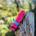 Vibrant pink and yellow handmade BioThane hound collar with blue band, positioned on weathered wood outdoors.