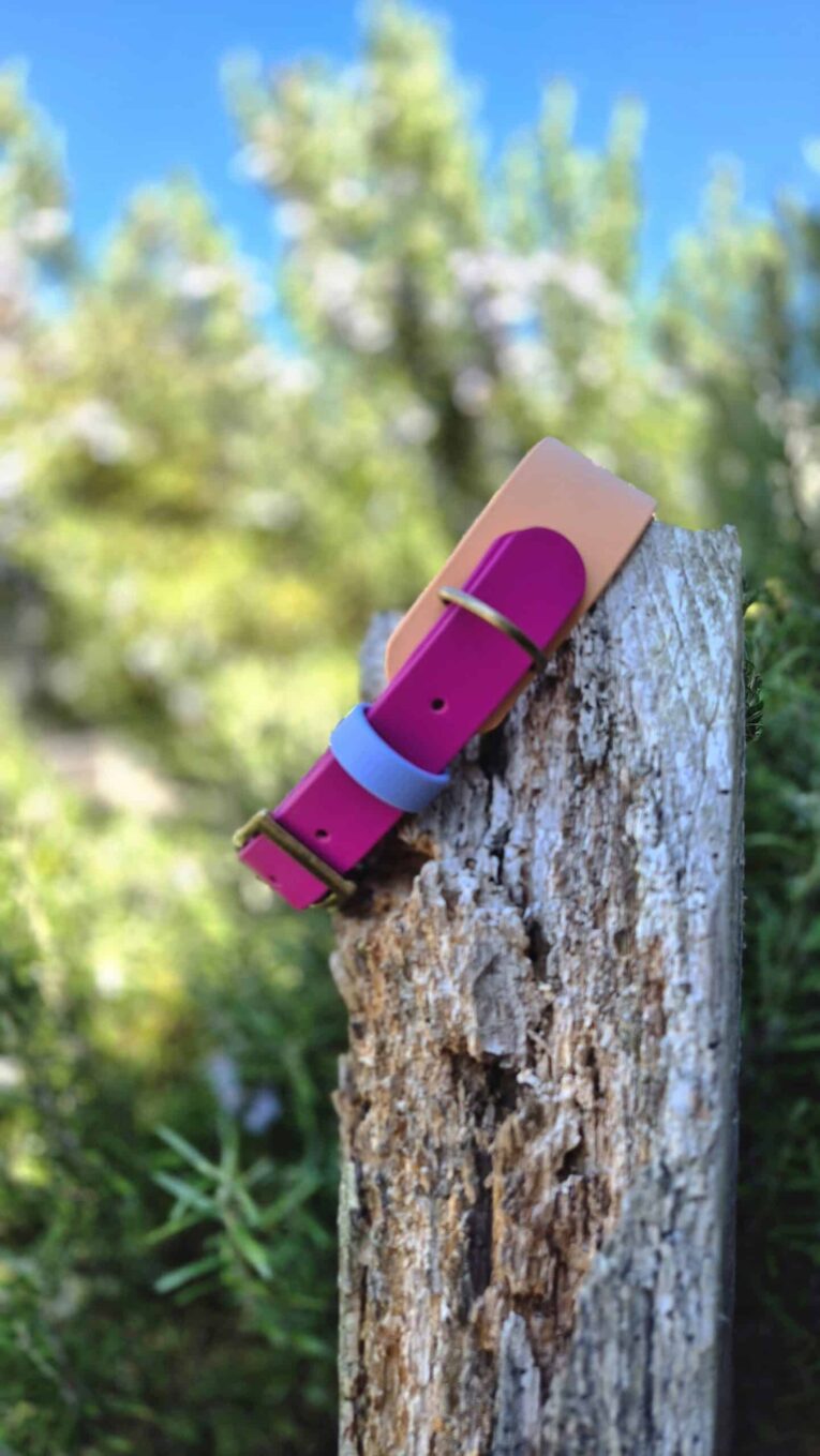 Brightly coloured handmade BioThane dog collar in magenta and blue, displayed on weathered wood with garden foliage behind.