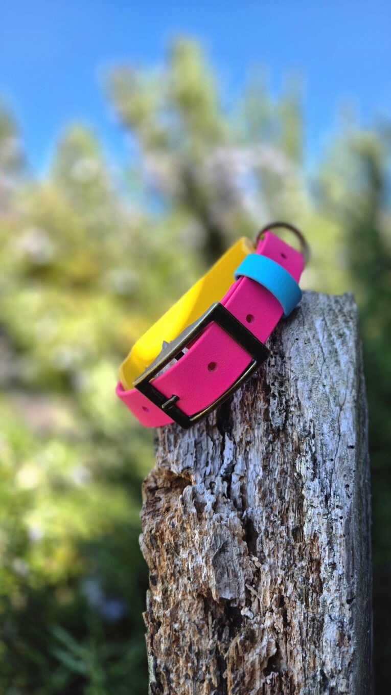 Colourful handmade BioThane dog collars stacked on weathered wood with blurred foliage background.