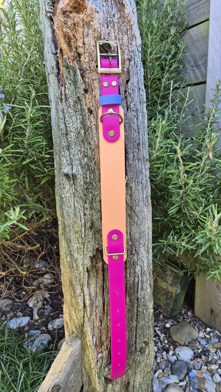 Colourful handmade BioThane dog collar displayed on weathered wood, featuring pink, peach and blue sections with brass hardware.