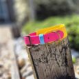 Bright pink and yellow handmade BioThane dog collar with blue detail on weathered wood post