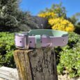 Lavender handmade BioThane dog collar with sage green accent displayed on weathered wood post in sunny garden setting.