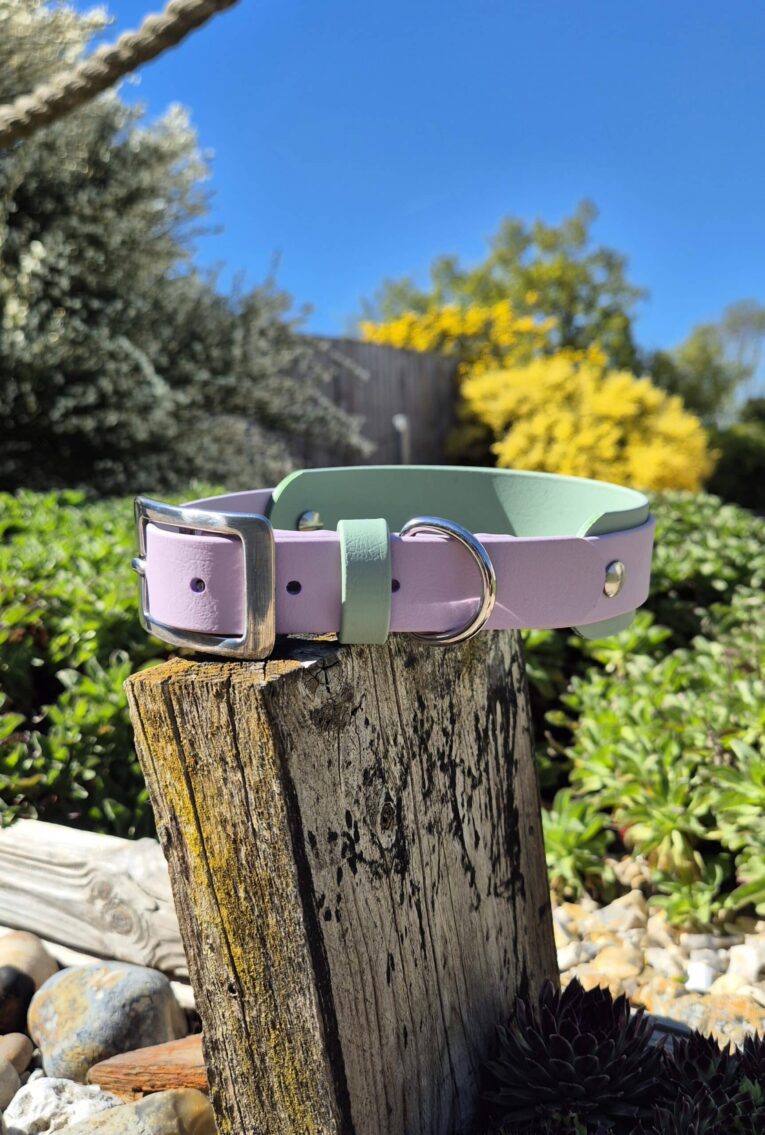 Lavender handmade BioThane dog collar with sage green accent displayed on weathered wood post in sunny garden setting.