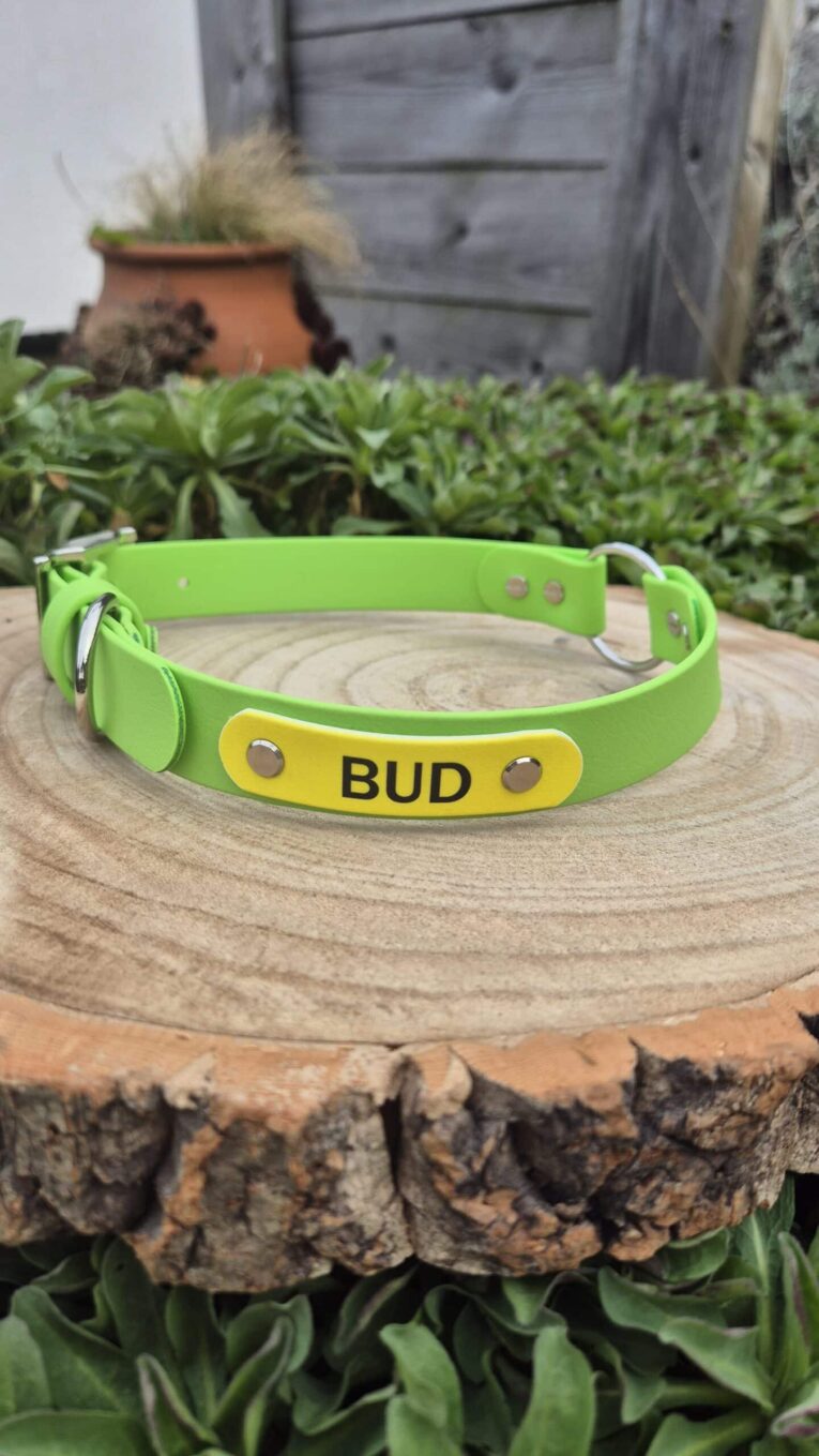 Bright lime green BioThane dog collar with yellow name tag reading 'BUD' displayed on wooden log in garden setting.