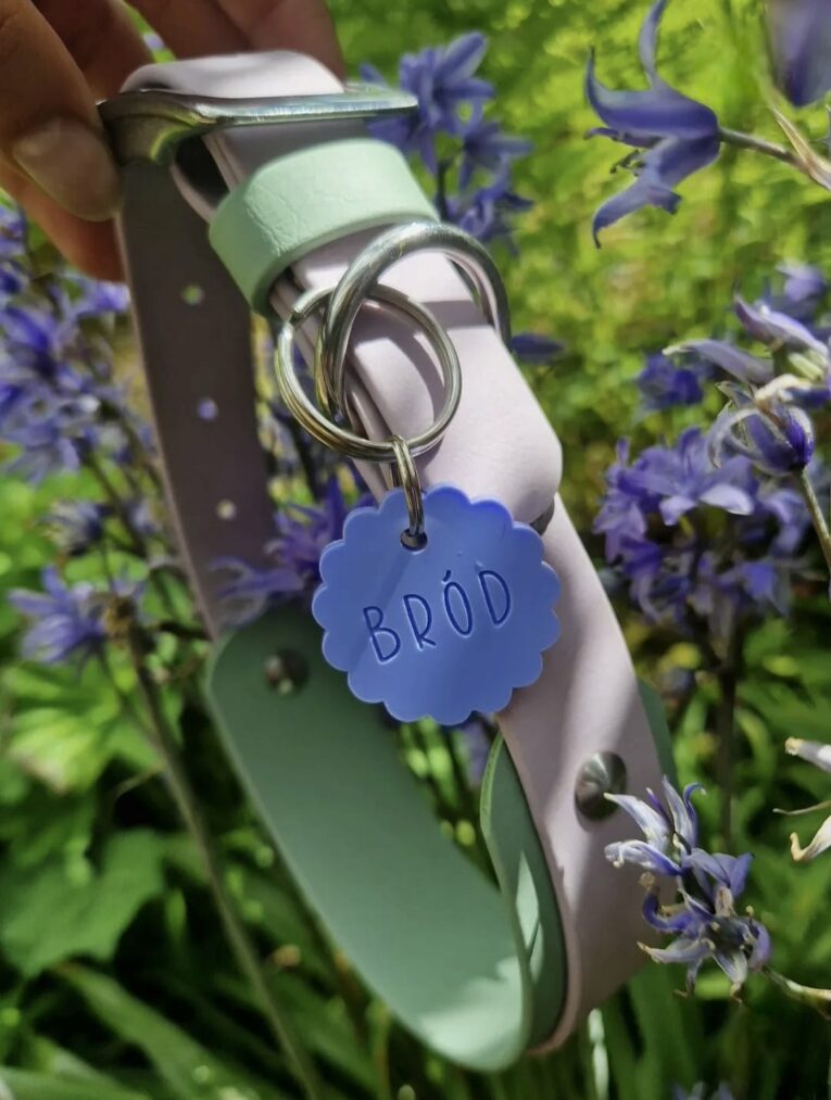 Handmade BioThane hound collar in lilac and sage with blue pet ID tag labelled 'BRÓD', displayed among purple flowers.
