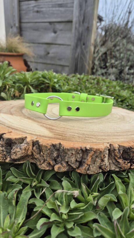 Gundog Collar