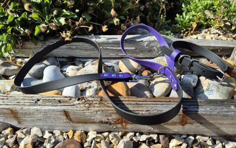 Midnight amethyst handmade BioThane dog collars and leads displayed on weathered wood with stones and foliage.