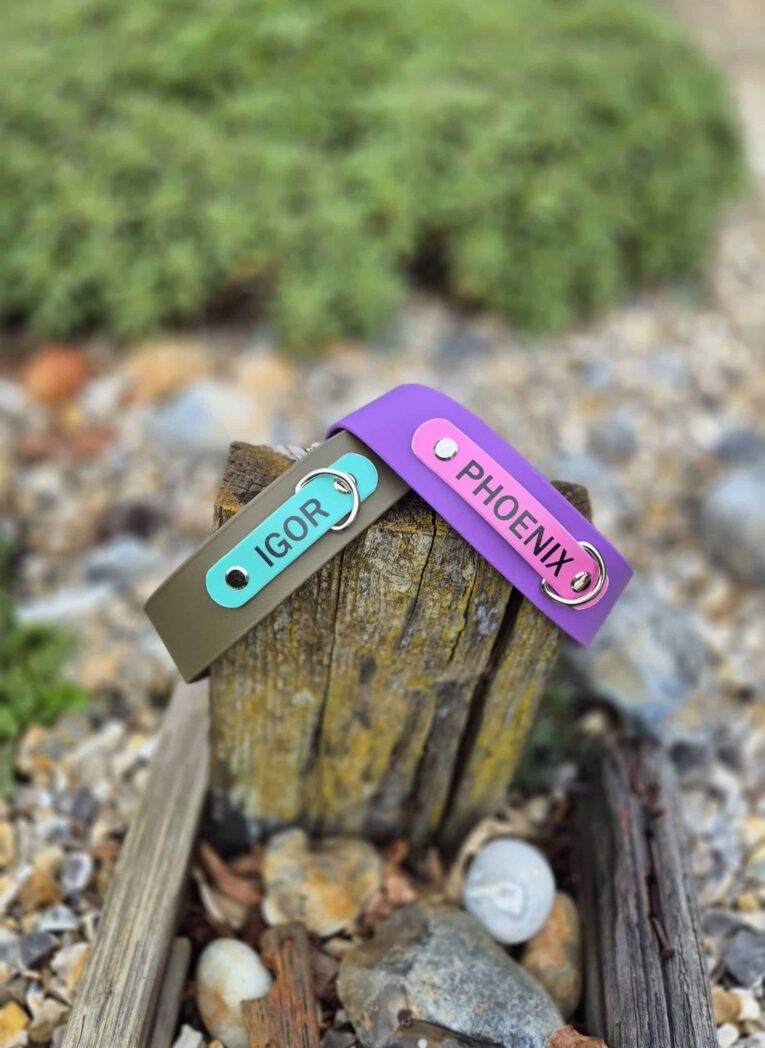 Two personalised nameplate collars displaying "IGOR" and "PHOENIX" in vibrant turquoise and purple BioThane.