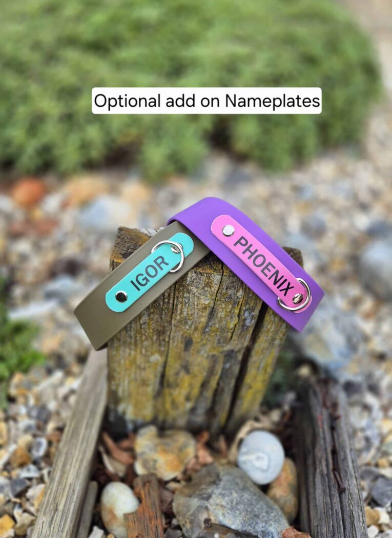 Two customised BioThane dog collars with engraved nameplates reading IGOR and PHOENIX, displayed on weathered wood.