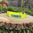 Bright yellow nameplate gundog collar with teal nameplate reading 'RUM', displayed on a wooden log in a garden setting.