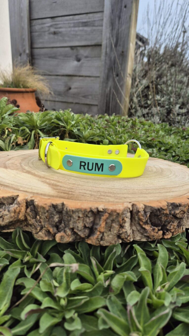 Bright yellow nameplate gundog collar with teal nameplate reading 'RUM', displayed on a wooden log in a garden setting.