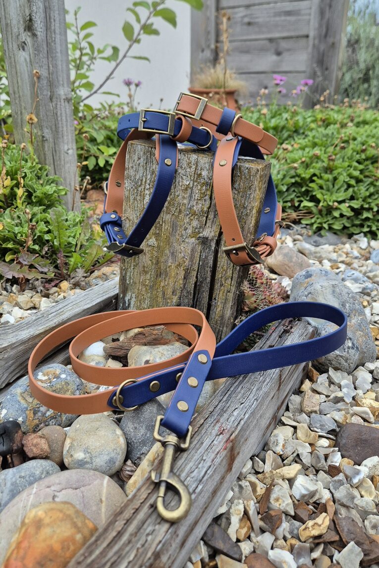 Navy and tan handmade BioThane dog collar and lead displayed in a garden setting with weathered wood.