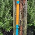 Bright orange and blue handmade BioThane dog collar with metal hardware, displayed on weathered wood.