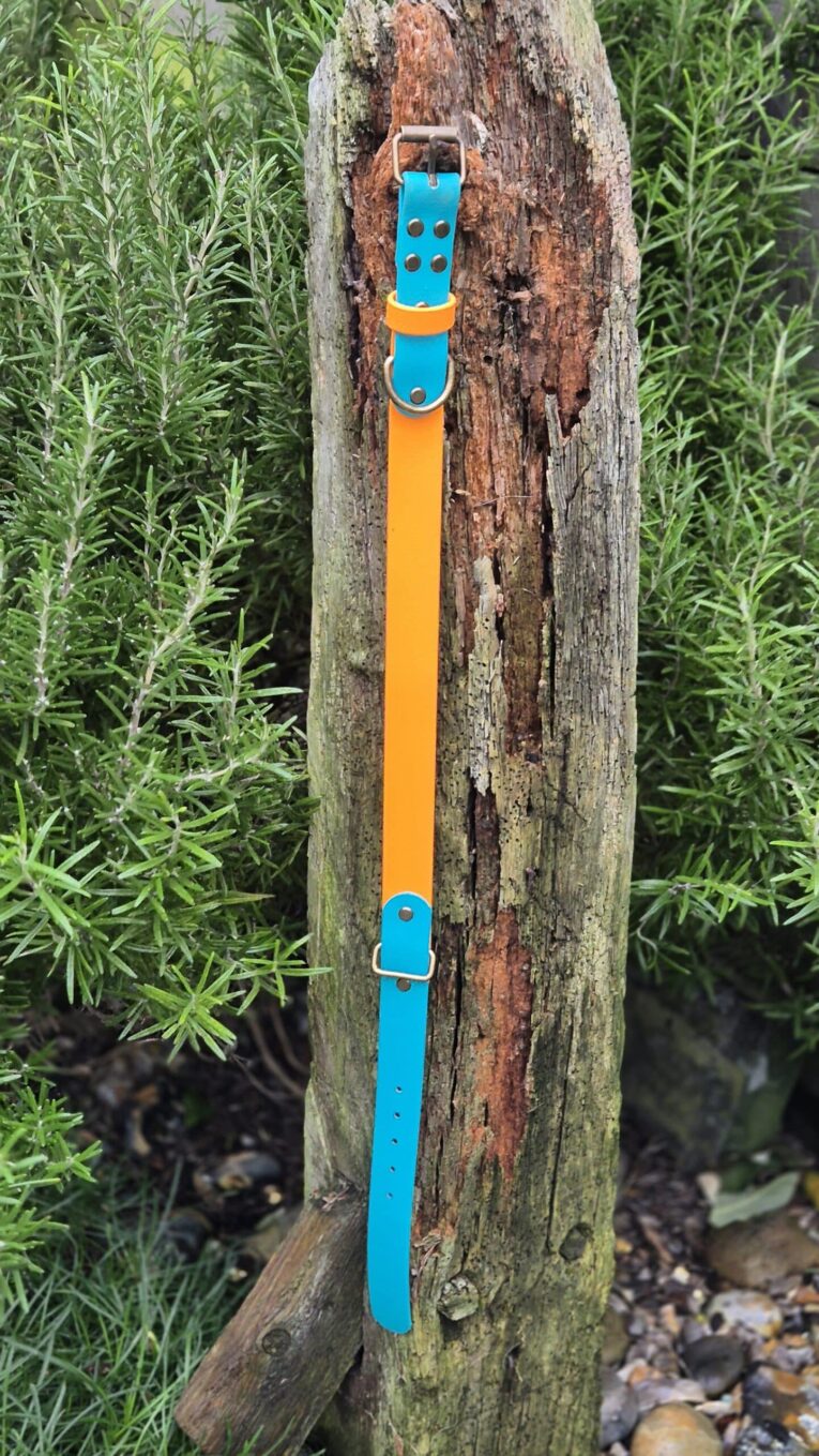 Bright orange and blue handmade BioThane dog collar with metal hardware, displayed on weathered wood.
