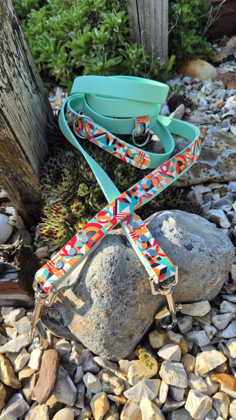 Turquoise BioThane dog lead with vibrant patterned webbing, coiled on a garden stone.