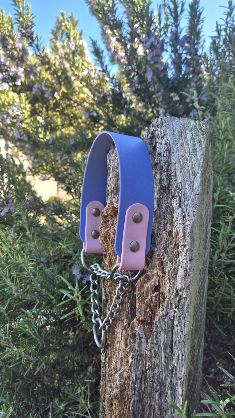 Periwinkle and mauve handmade BioThane dog collar with chain lead, displayed on weathered wood post.