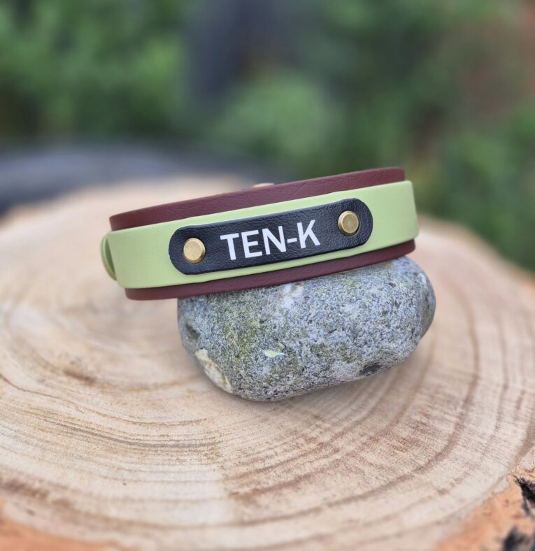 Personalised TEN-K BioThane collar in sage green and burgundy with navy nameplate and brass fixings.
