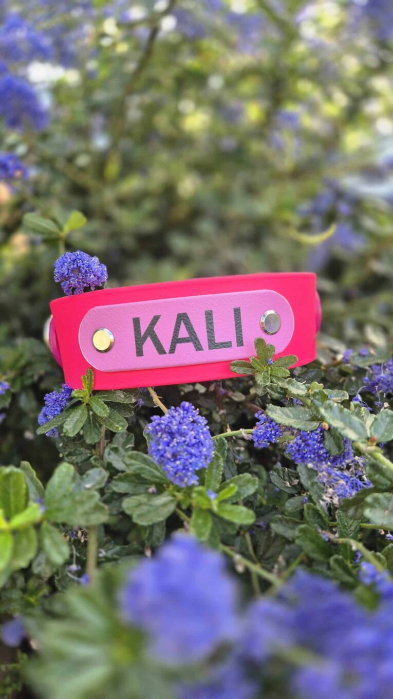 Personalised pink BioThane dog collar named 'KALI' surrounded by vibrant purple flowers in a garden setting.