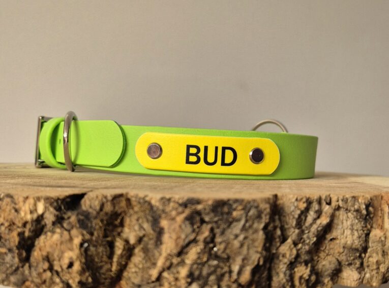 Bright lime-green personalised gundog collar with yellow name tag reading 'BUD' on wooden surface.