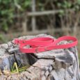 Bright pink BioThane dog lead coiled on weathered wood with garden backdrop