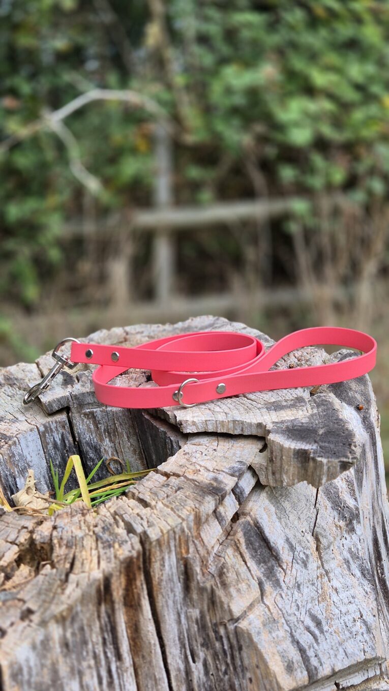Bright pink BioThane dog lead coiled on weathered wood with garden backdrop