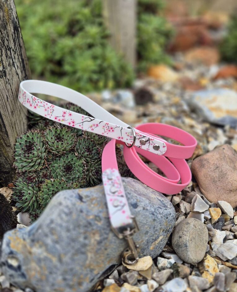 Pink and white floral BioThane dog lead with matching pink handle, displayed on garden stones beside succulents.
