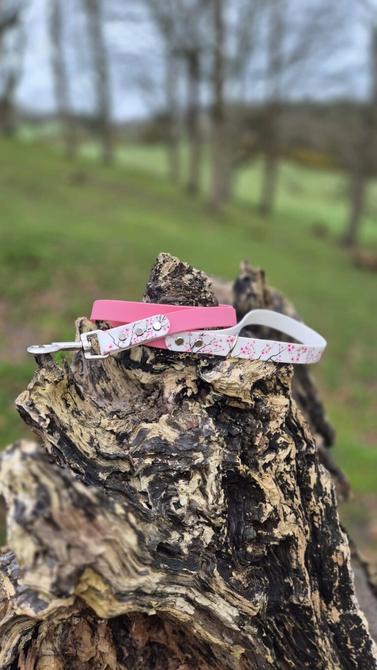 Pink floral handmade BioThane dog lead and solid pink collar displayed on weathered tree stump in countryside setting.