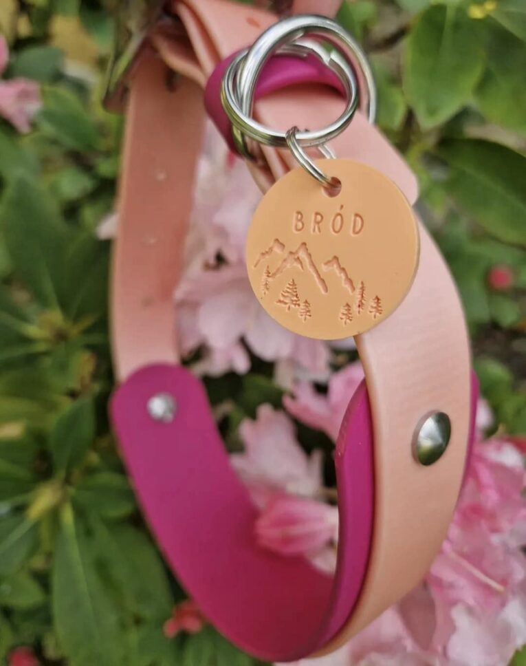 Pink and natural BioThane double-layered hound collar with engraved brass tag reading 'BRÓD' and mountain design.