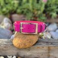 Bright pink tapered BioThane dog collar with gold-toned buckle, displayed on natural wood and stones with garden background.